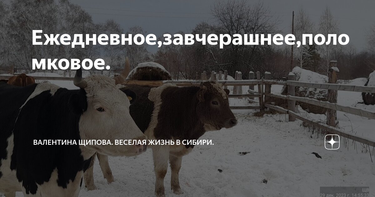 Ежедневное,завчерашнее,поломковое. | Валентина Щипова. Веселая жизнь в ...