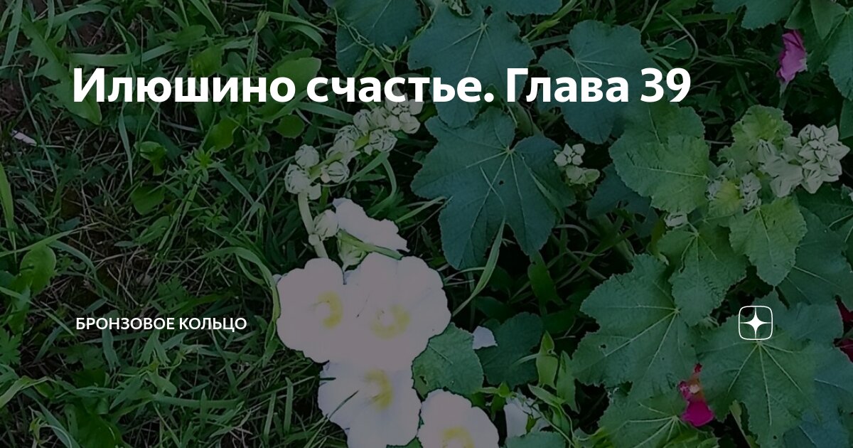 Илюшино счастье. Глава 39 | Бронзовое кольцо | Дзен