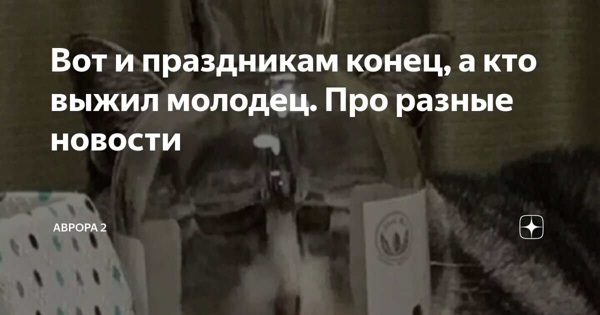 Вот и праздникам конец, а кто выжил молодец. Про разные новости ...