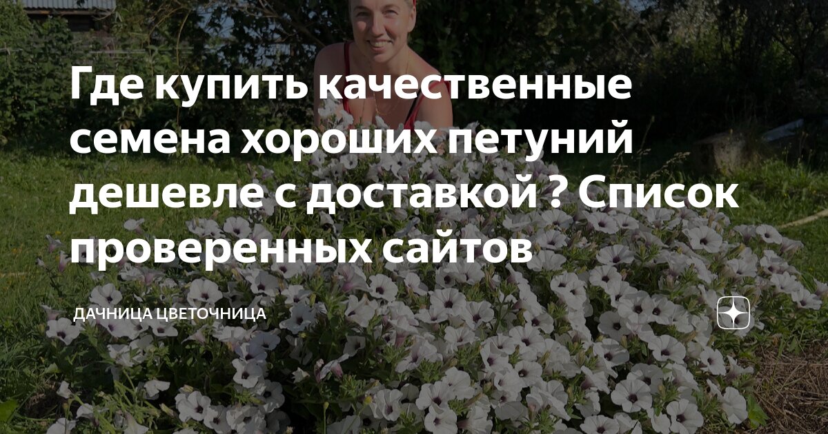 Где лучше покупать семена Где лучше покупать семена