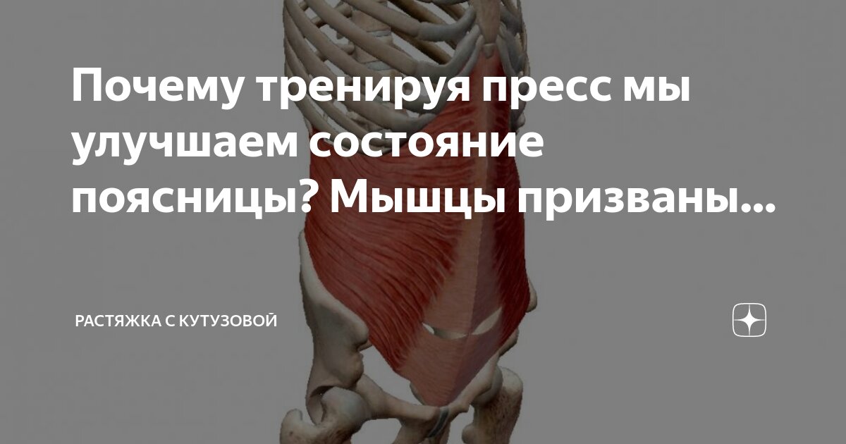 Почему мышцы устают. Почему мышцы устают