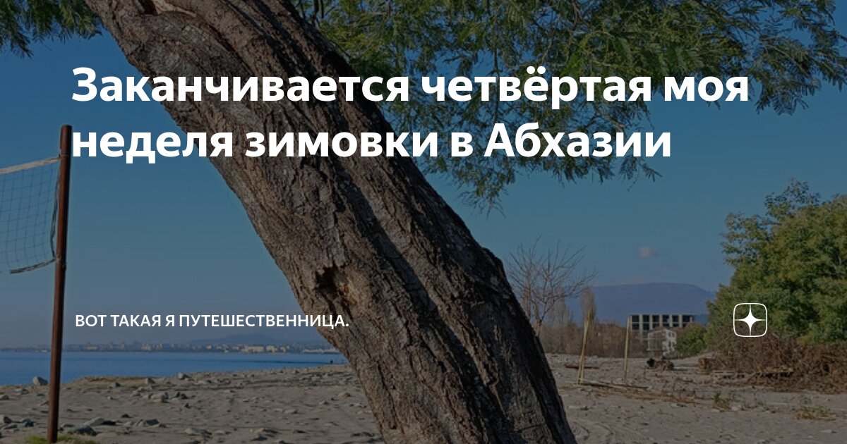 Заканчивается четвëртая моя неделя зимовки в Абхазии | Вот такая я ...