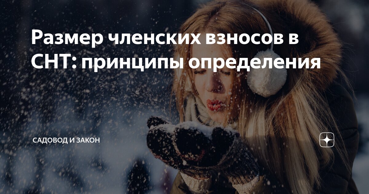 Размер членских взносов в СНТ: принципы определения | Садовод и Закон ...