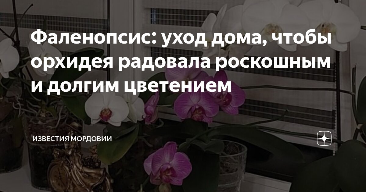 Цветочная дом 1