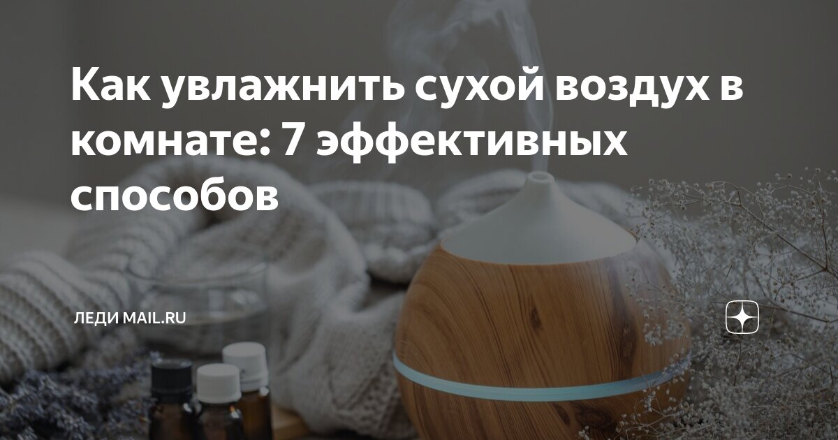 Как повысить влажность воздуха для комнатных растений: 5 рабочих способов