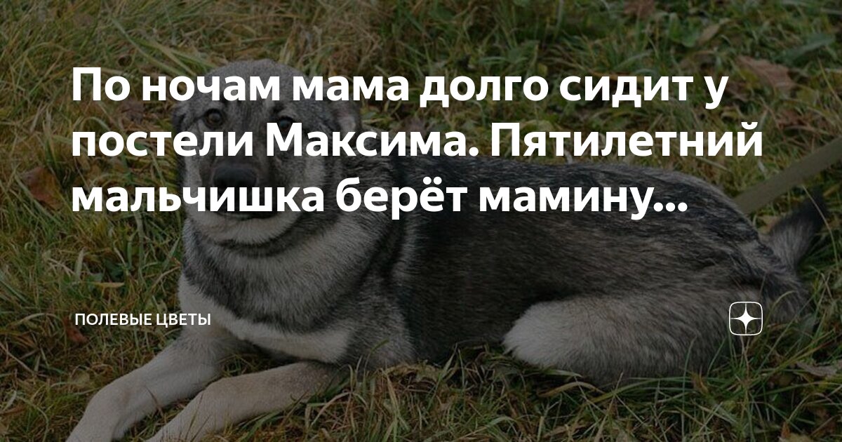 я возьму цветы я возьму такси все