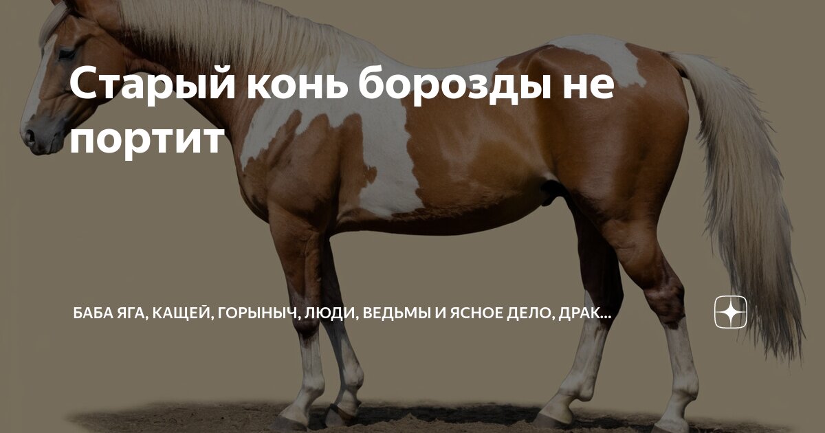 Старый конь борозды не портит | Баба Яга, Кащей, Горыныч, Люди, Ведьмы ...