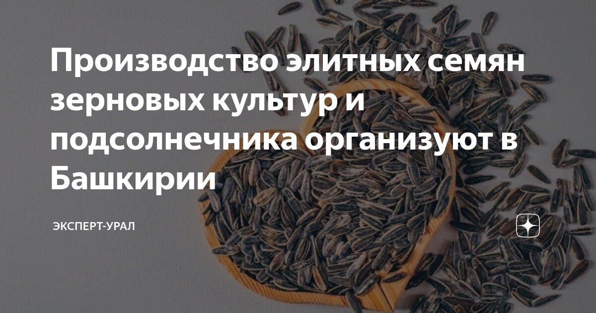 Завод подсолнечника
