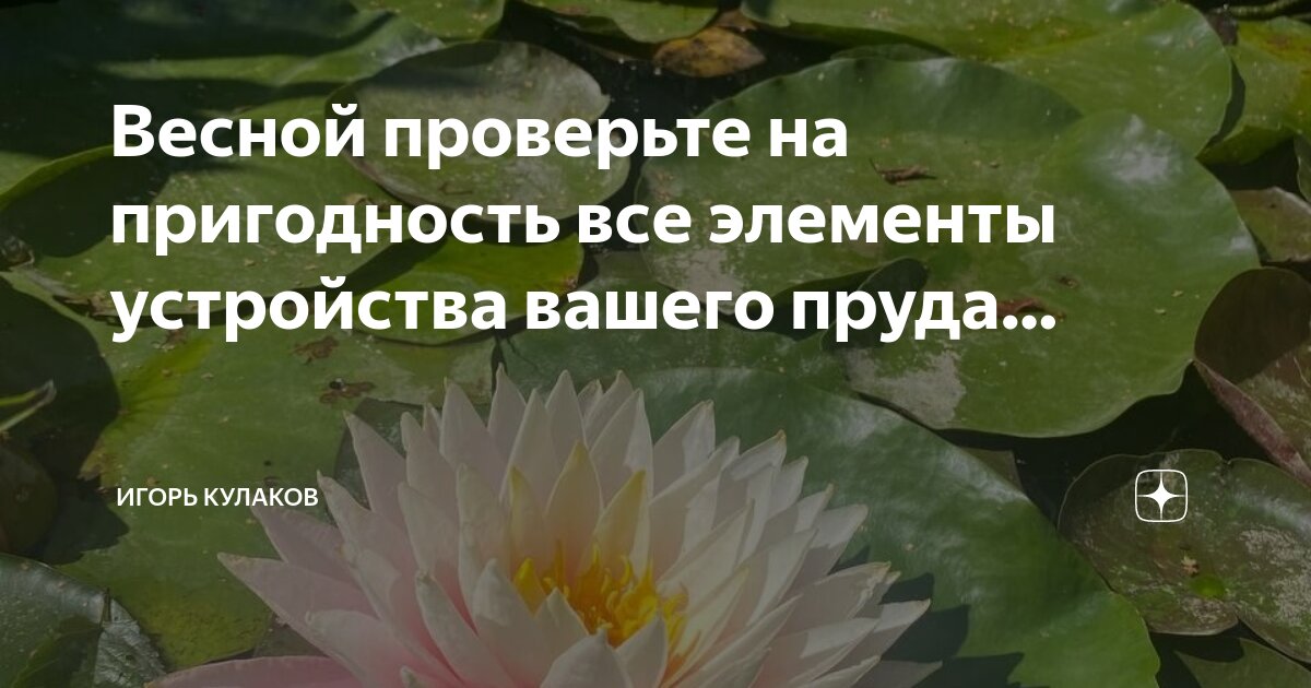 Голубое озеро казань крутушка. Голубое озеро бокситогорск. Болотный бочаг. Поверхностные водоемы. Поверхность пруда.
