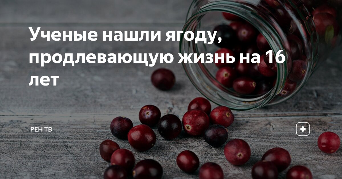 Продлевает жизнь на 10 лет. Продлевает жизнь на 10 лет