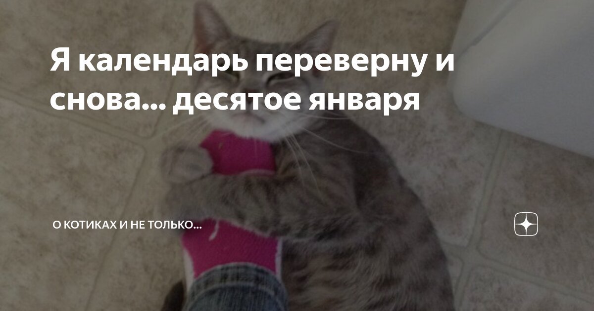 Хезитация примеры. Презентация о себе 1 класс. Изучить «пояснительную записку». Ученик подросток. Содержание проекта 10 класс.