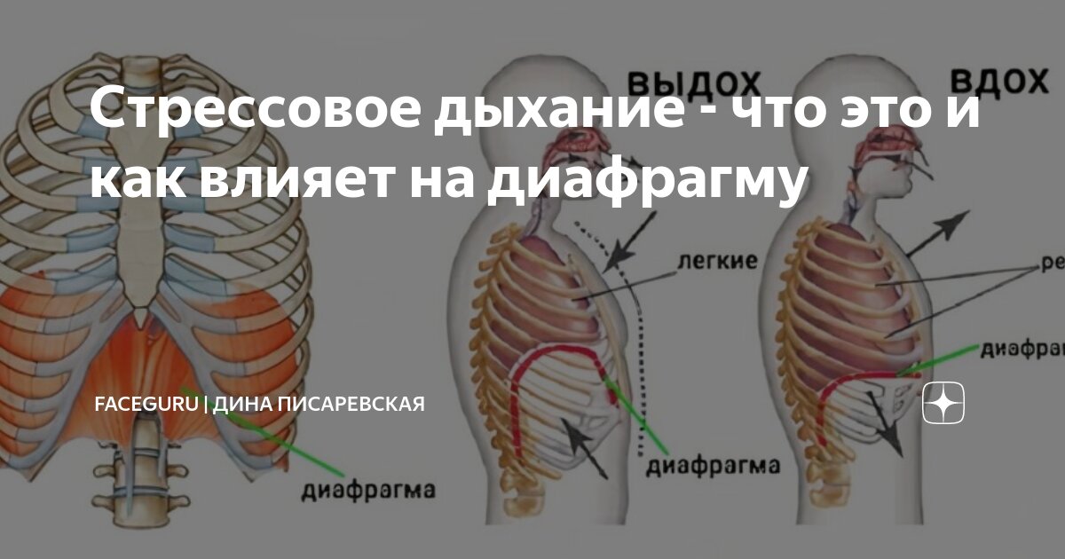 Как проверить диафрагму. Как проверить диафрагму