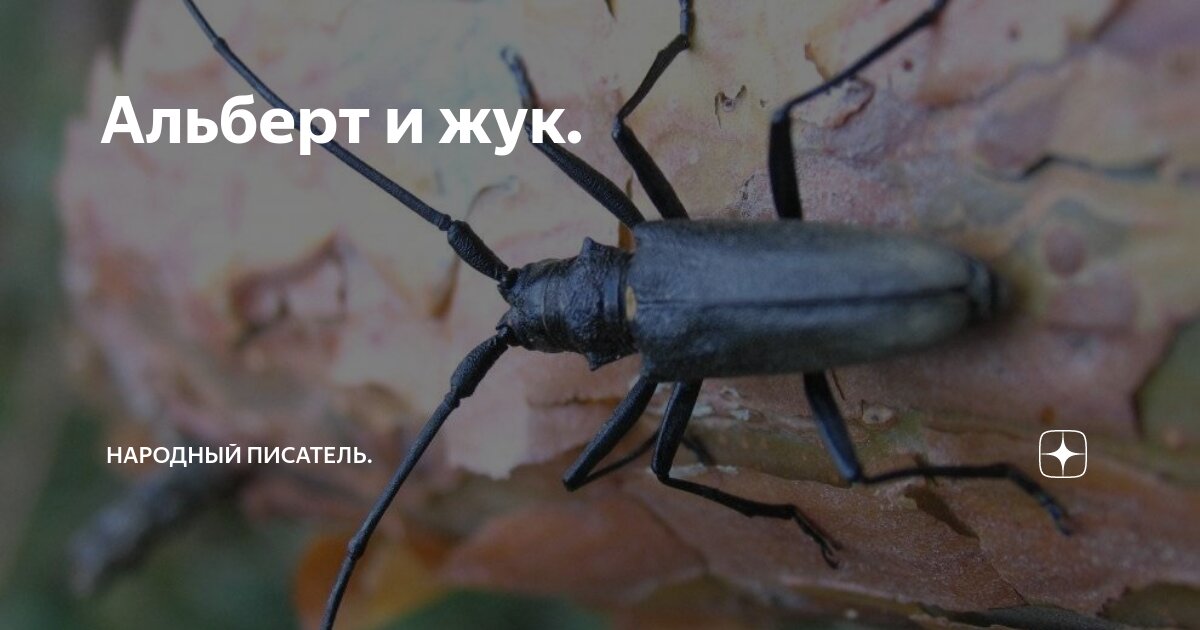 Скажите есть черный