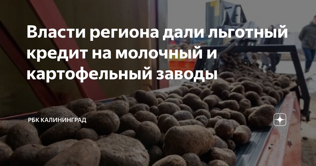 Калининград комбинат