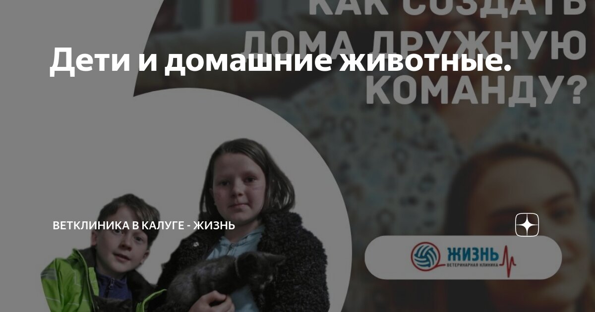 скалодром массив калуга. детская площадка калуга. места для развлечений в калуге. вднх в москве для детей куда сходить. скалодром марс калуга.