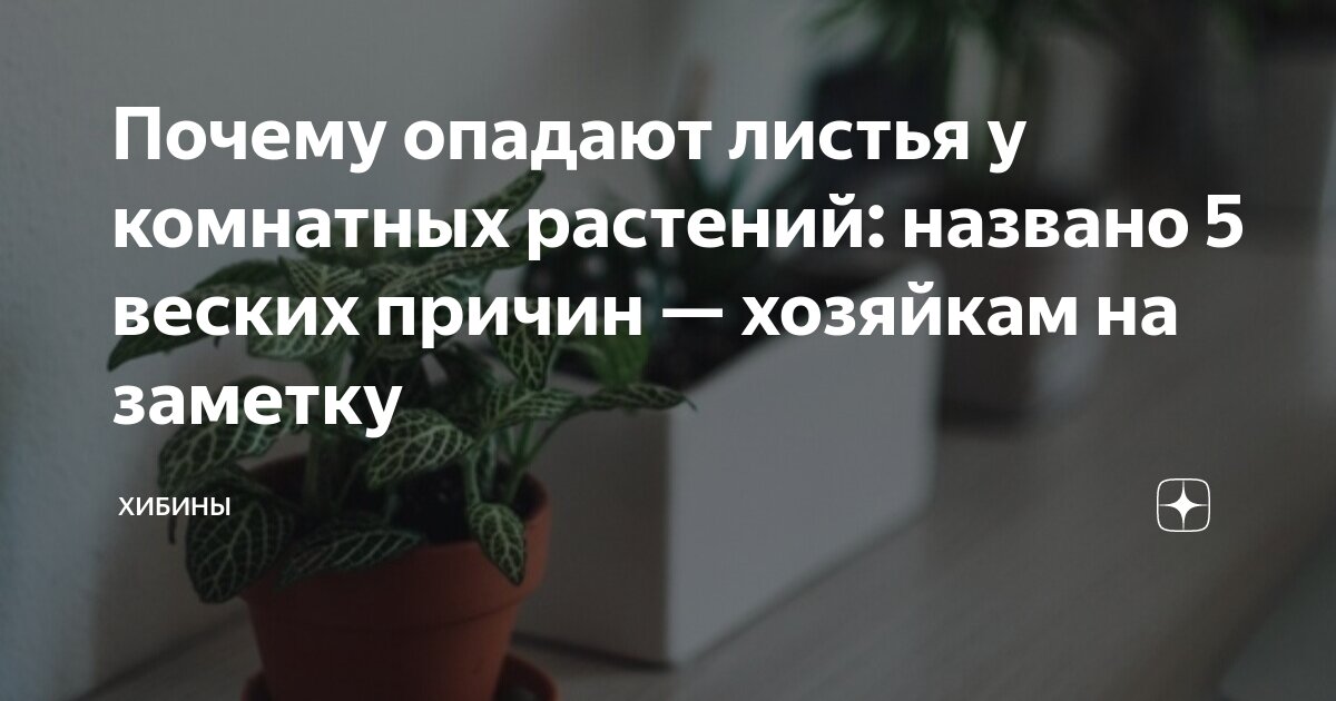 Почему опадают листья у комнатных растений: главные причины и что делать