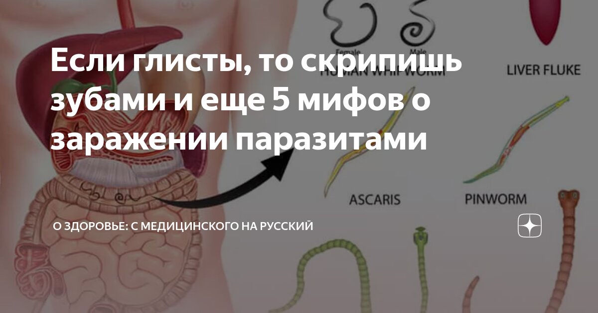 болит ли живот если глисты