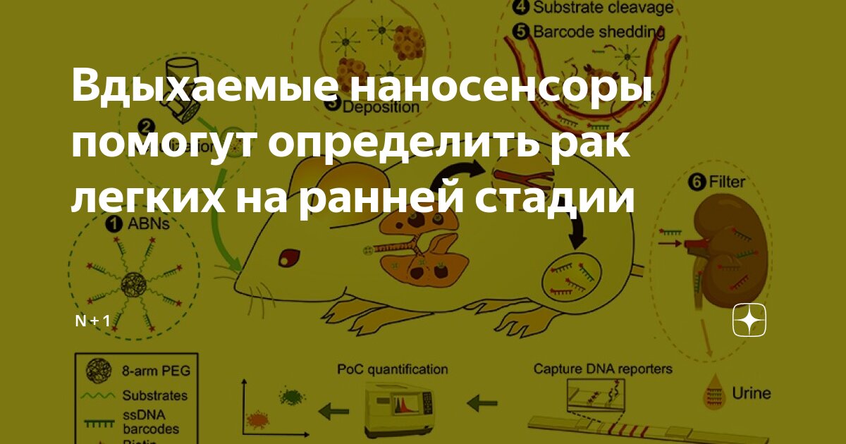 Ингаляция легких. Паровые ингаляции. Ингаляции женщина. Гелиокс ингаляции. Воздействие соляного аэрозоля на легкие.