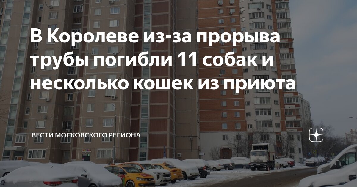 Налево королева кобель. Налево королева кобель. Налево королева кобель. Налево королева кобель. Вельш корги королевы елизаветы.