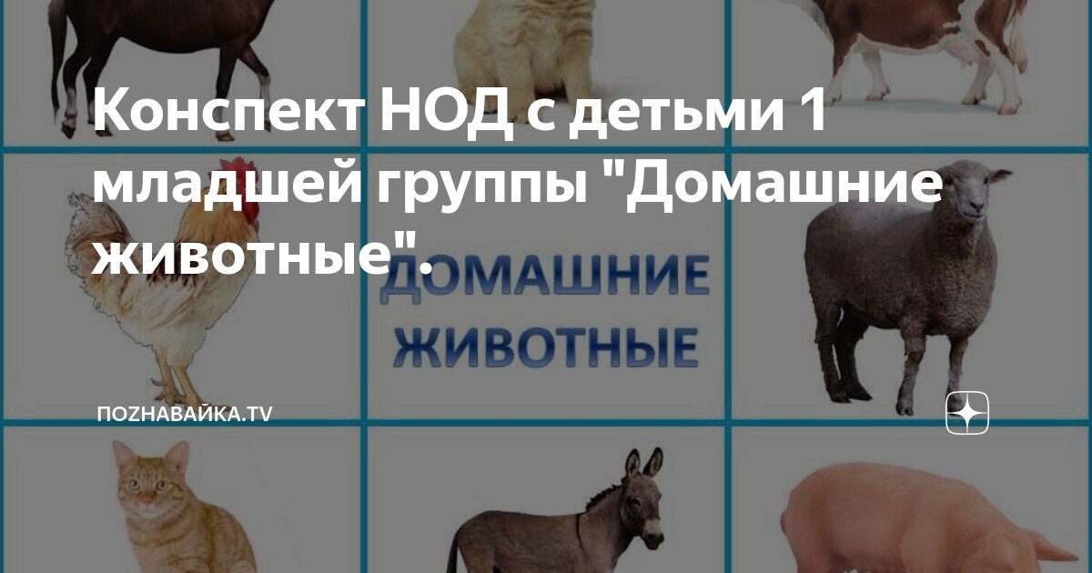 Домашние животные конспект 1 класс. Домашние животные. Тема домашние животные. Домашние животные конспект 1 класс. Дикие и домашние животные.