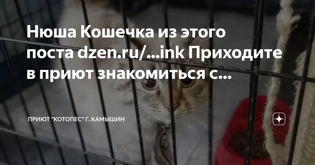 Пришла знакомиться с соседями. Пришла знакомиться с соседями