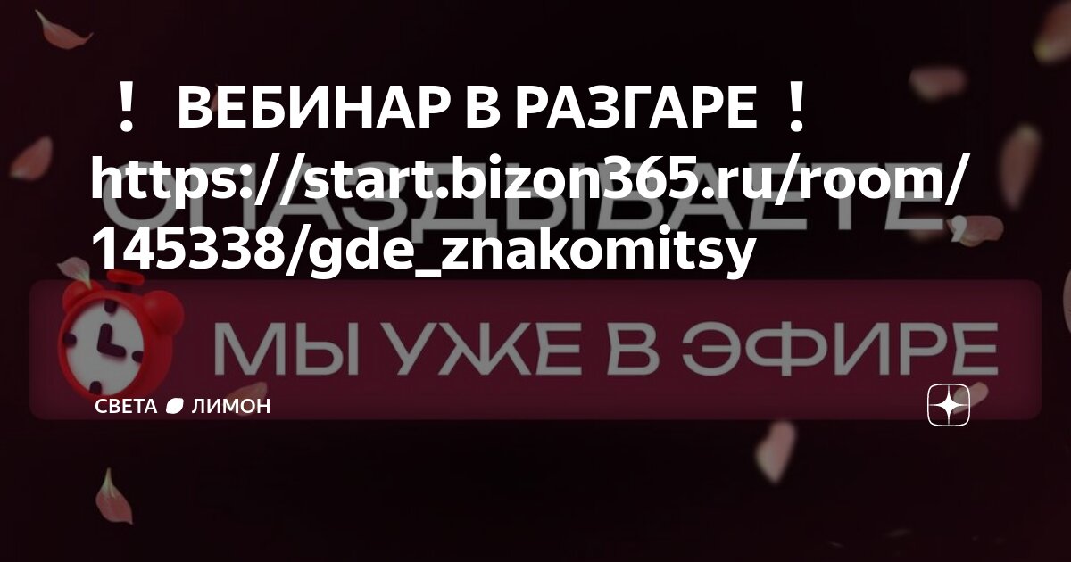 Start bizon365 ru вебинар сейчас