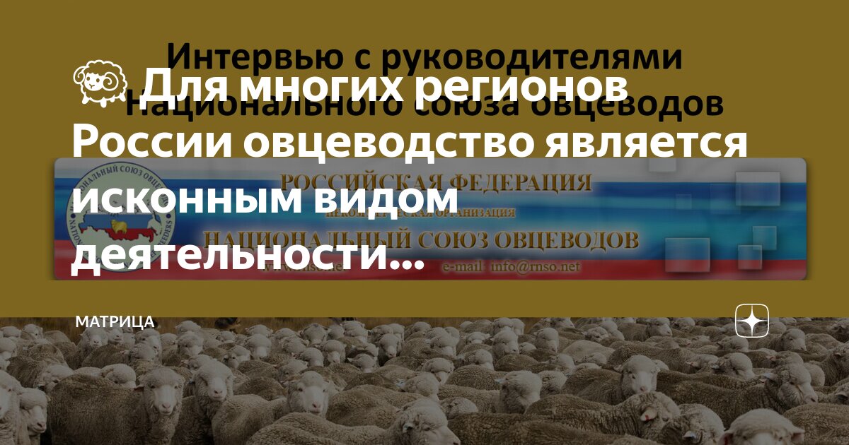 Какие субъекты являются лидерами по поголовью овец. Какие субъекты являются лидерами по поголовью овец
