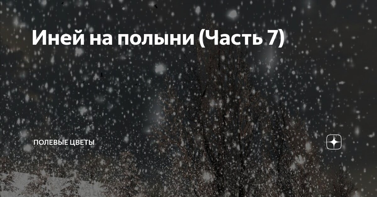 Иней на полыни (Часть 7) | Полевые цветы | Дзен