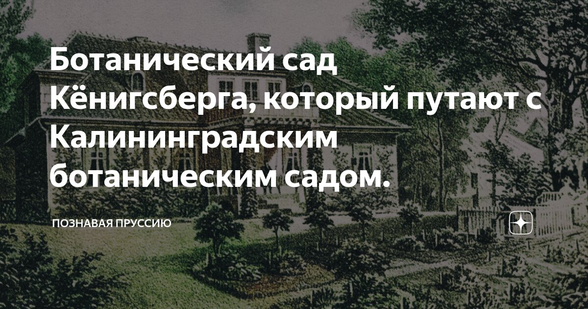 Ботанический сад в Калининграде: фото, цены, история, отзывы, как добраться