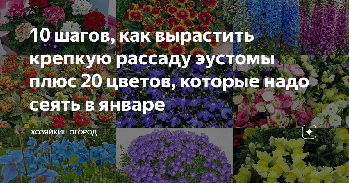 Расти цветы шаг за шагом