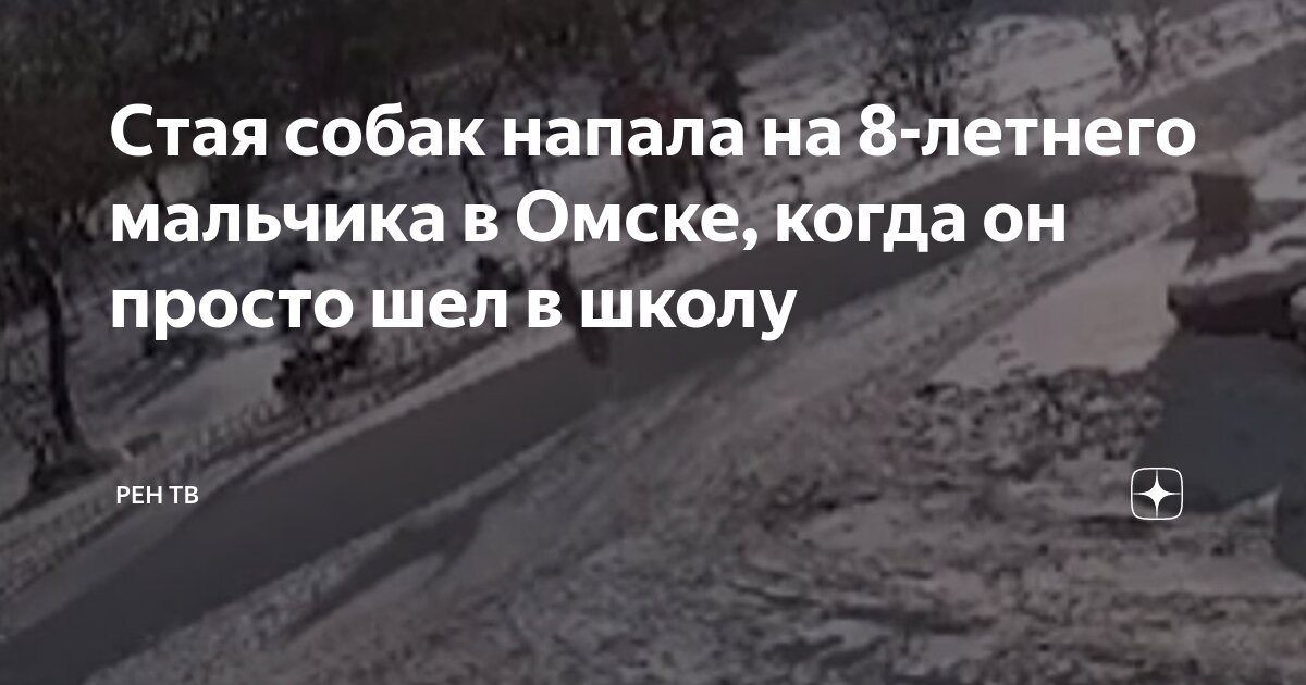 мальчик принес в школу щенка