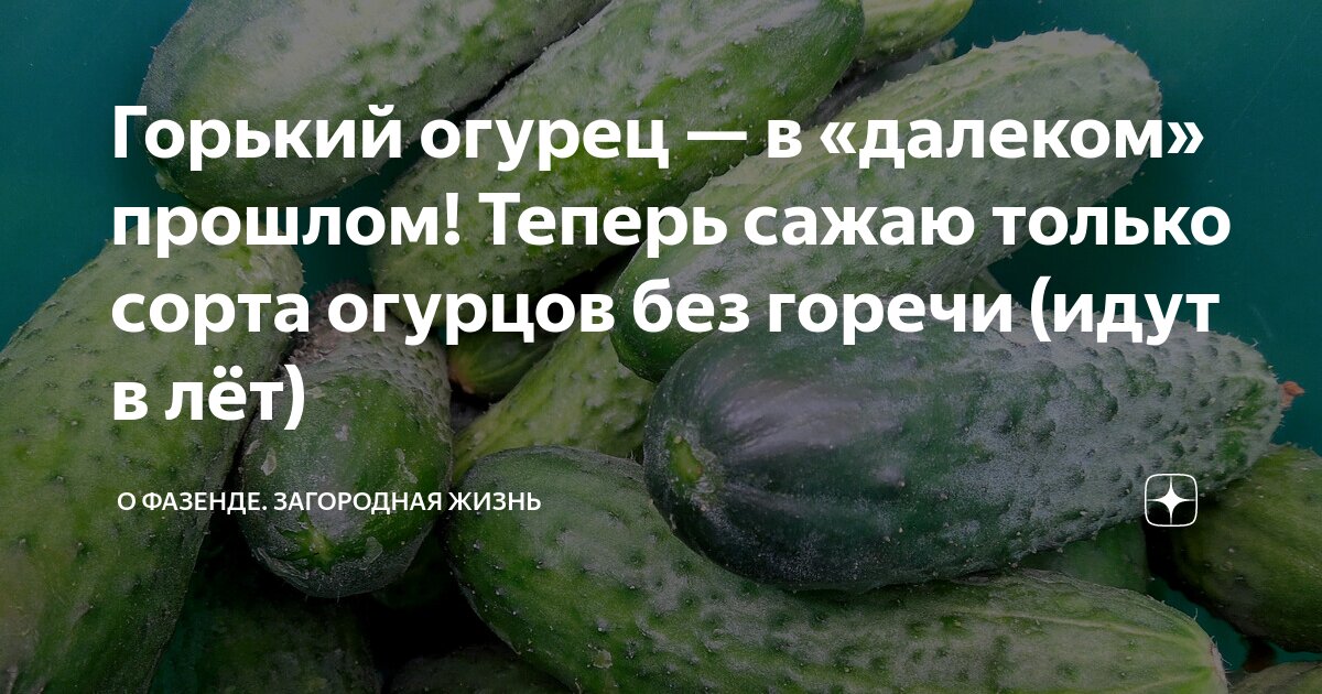 Почему горчат огурцы в открытом