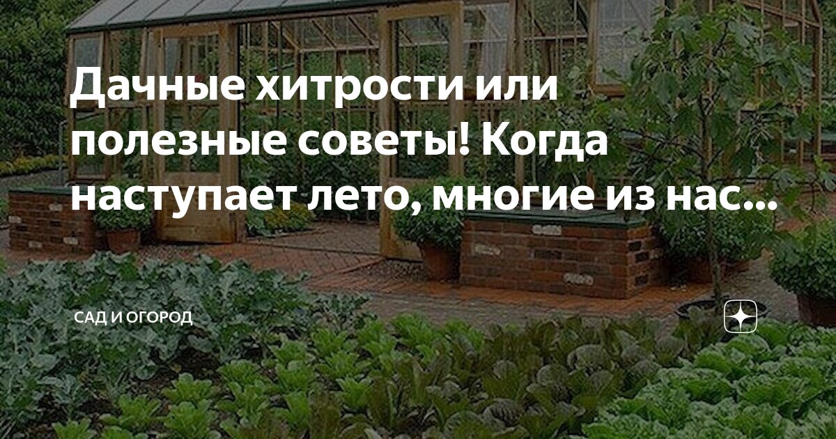 25 дачных хитростей и секретов: советы, как повысить урожай и упростить работу на грядке