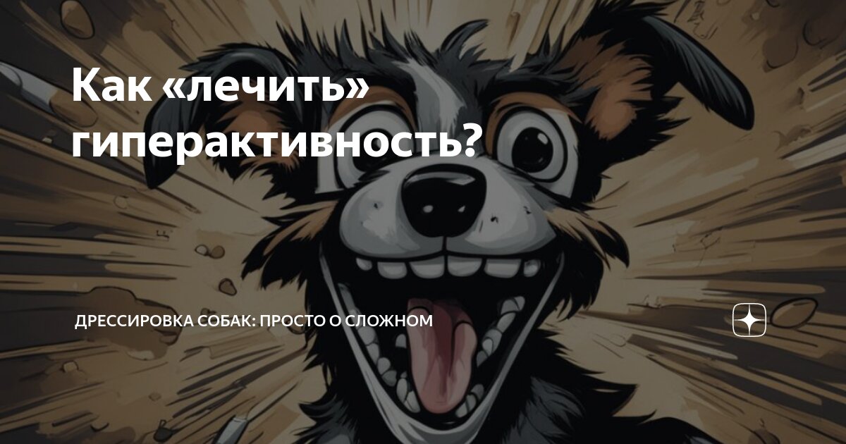 Как «лечить» гиперактивность? | Ирина Соловьева: о дрессировке простыми ...