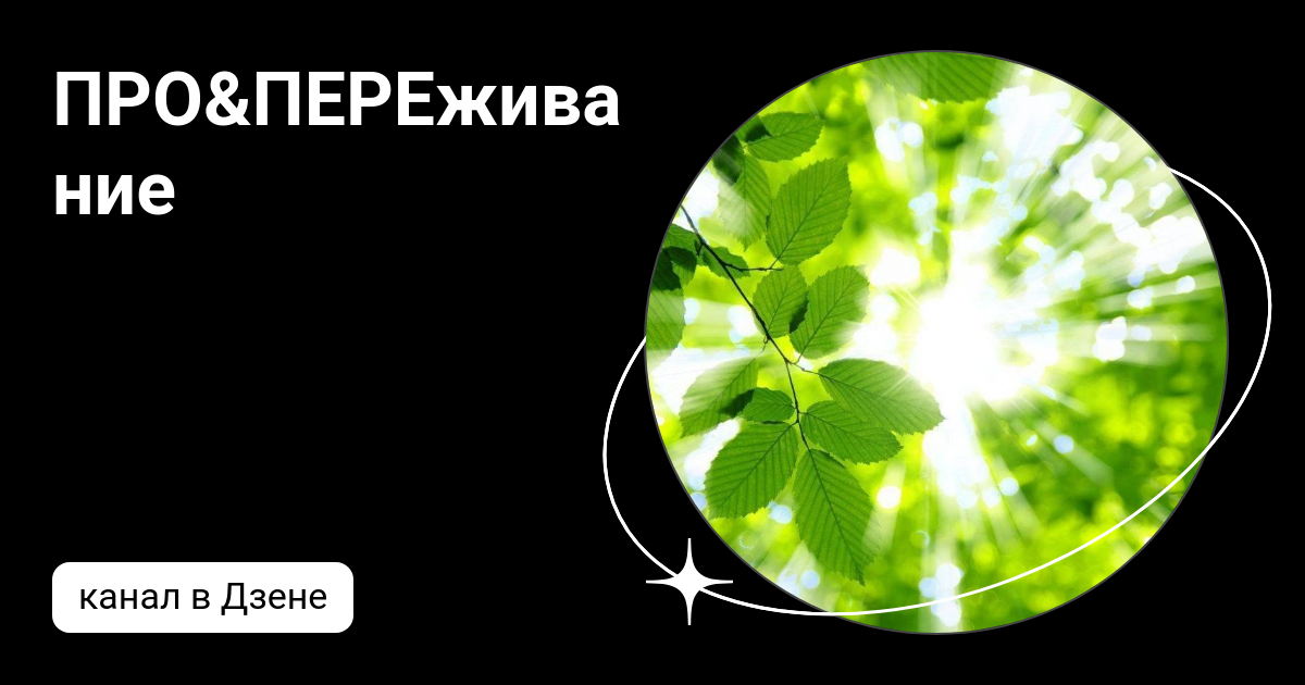 Субъективные эмоции дзен таежно Субъективные эмоции дзен таежно