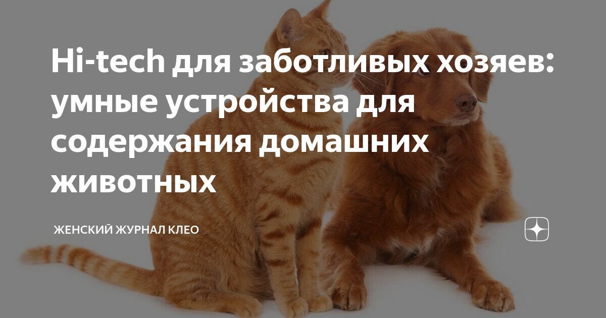 Hi-tech для заботливых хозяев: умные устройства для содержания домашних ...