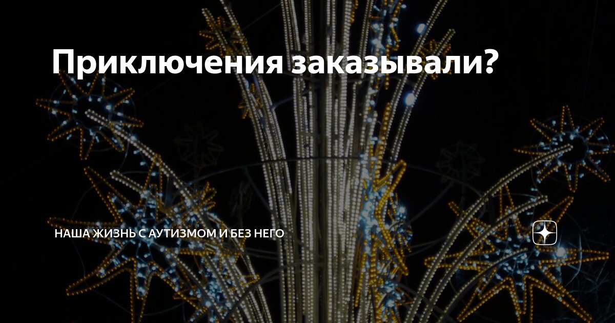 Приключения заказывали? | Наша жизнь с аутизмом и без него | Дзен