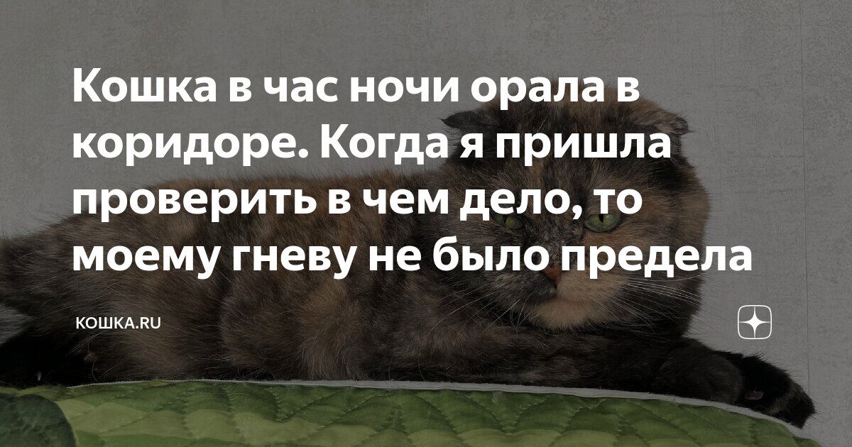 мемы читать. препод не пришел на пару. муж на час шутки. на пару часов приеду. жена на час прикол.