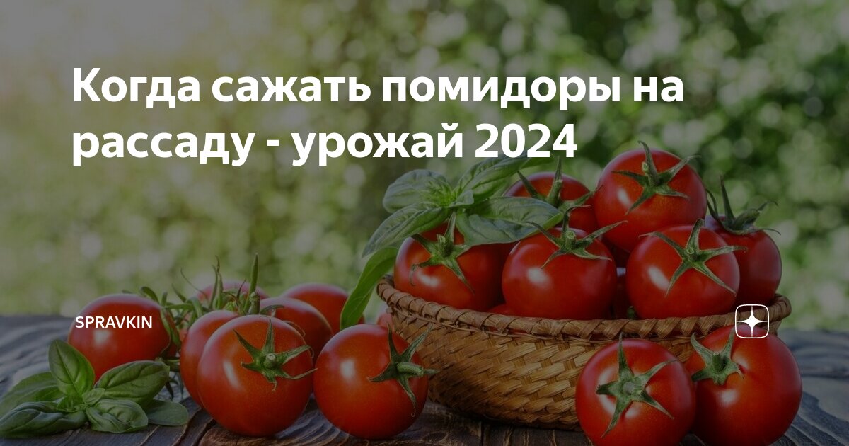 Определение уровня кислотности почвы