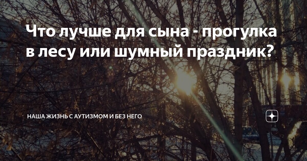 Что лучше для сына - прогулка в лесу или шумный праздник? | Наша жизнь ...