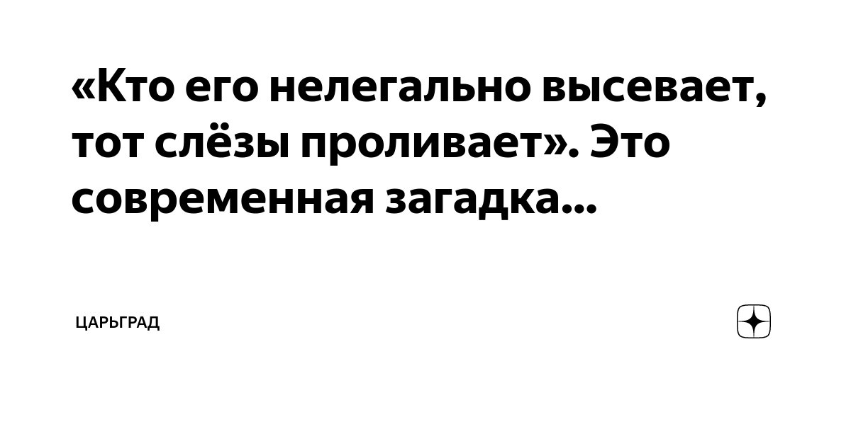 «Кто его нелегально высевает, тот слёзы проливает». Это современная ...
