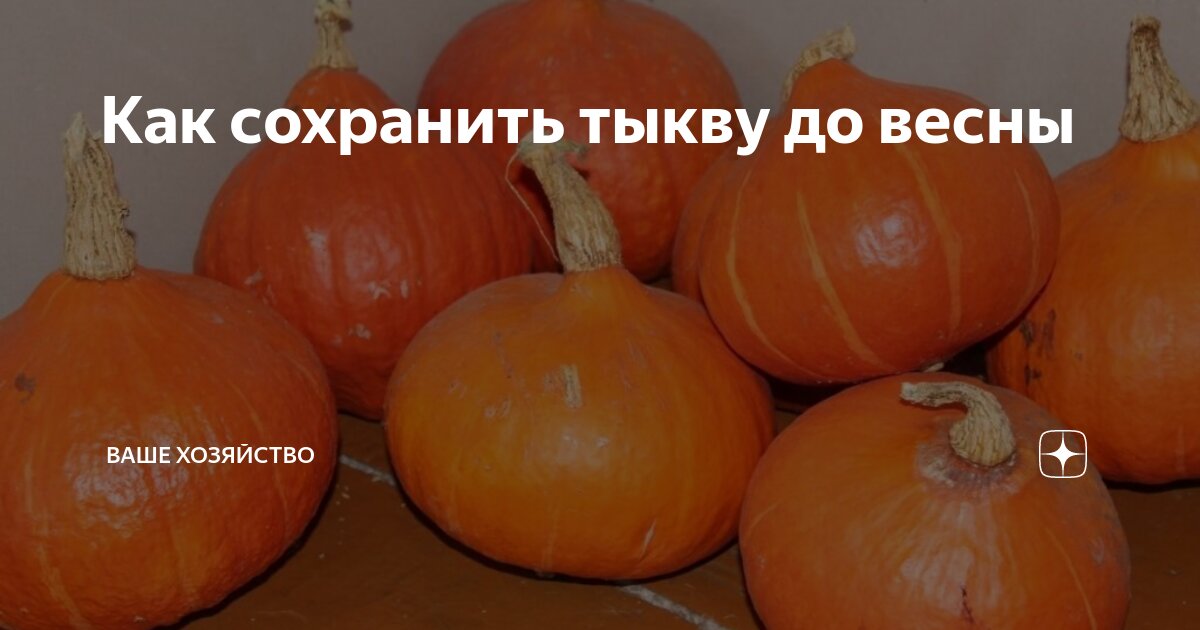 Как дольше сохранить тыкву в холодильнике. Как дольше сохранить тыкву в холодильнике