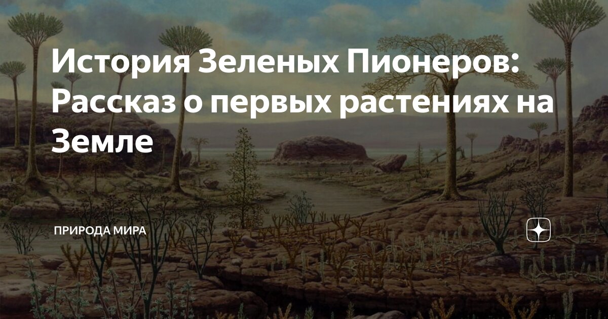 Пионеры растительности