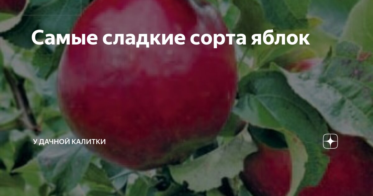 Какой сорт яблок самый Какой сорт яблок самый
