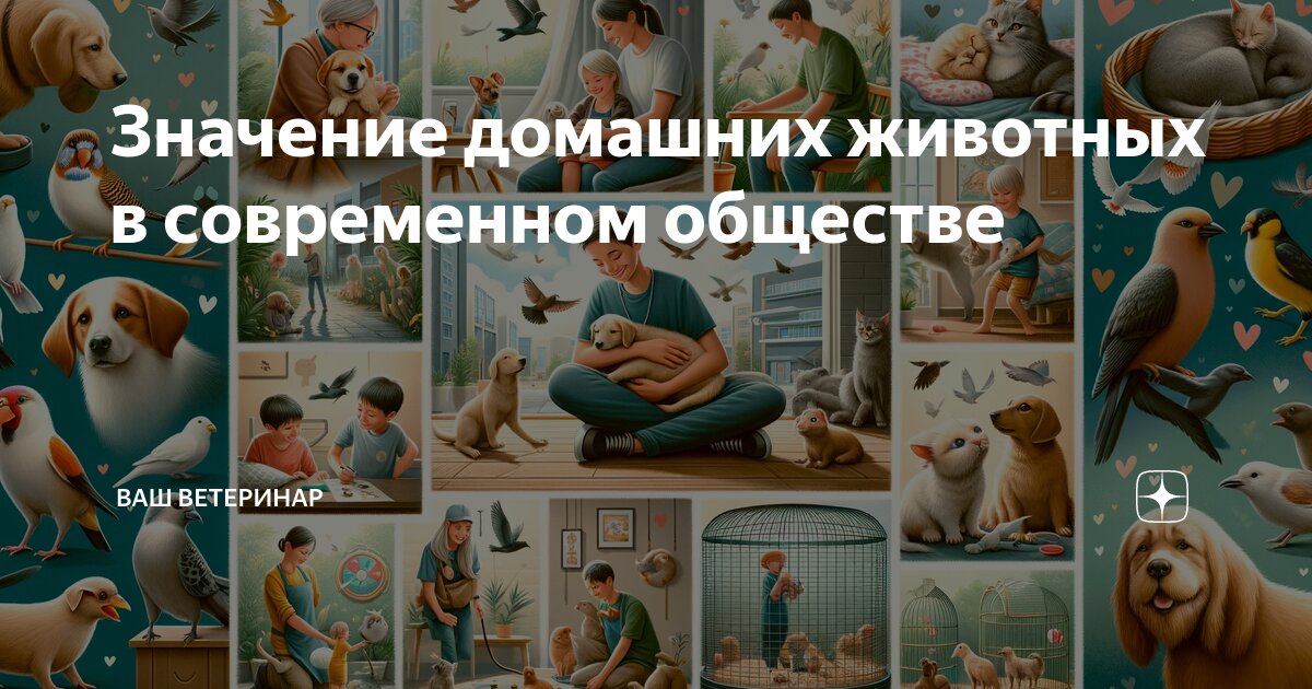 Какие функции в семье выполняет матка. Какие функции в семье выполняет матка