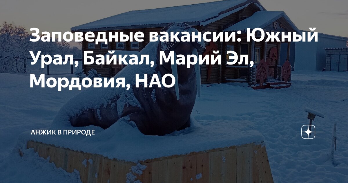 Заповедные вакансии: Южный Урал, Байкал, Марий Эл, Мордовия, НАО