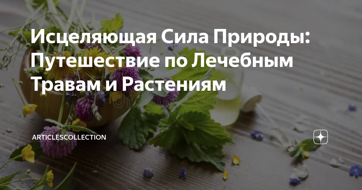 Движении путем сплошного непрерывного и. Движении путем сплошного непрерывного и