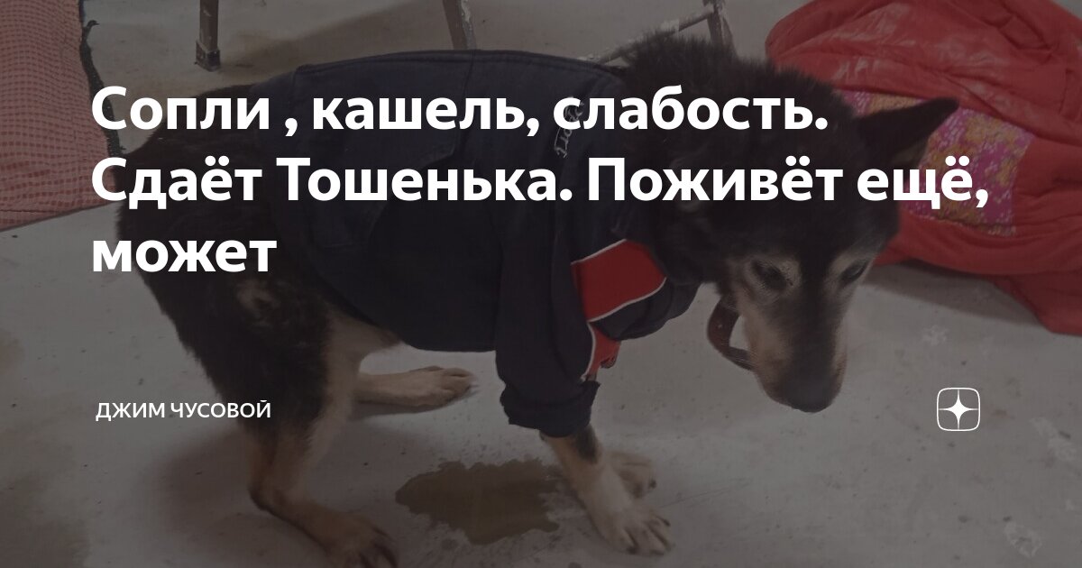 Прожить выясниться. Прожить выясниться