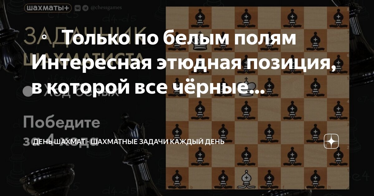 Задачи на шахматном поле