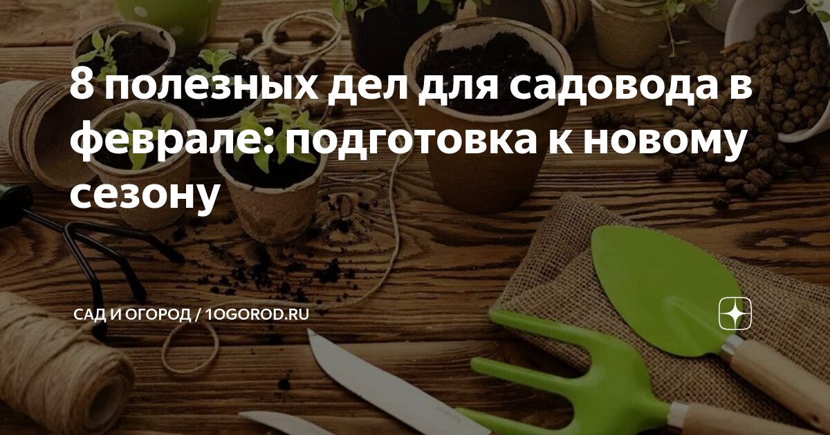 Сад и огород. Огородник фото. Дача. Осенняя уборка овощных культур. Магазин семян вывеска.